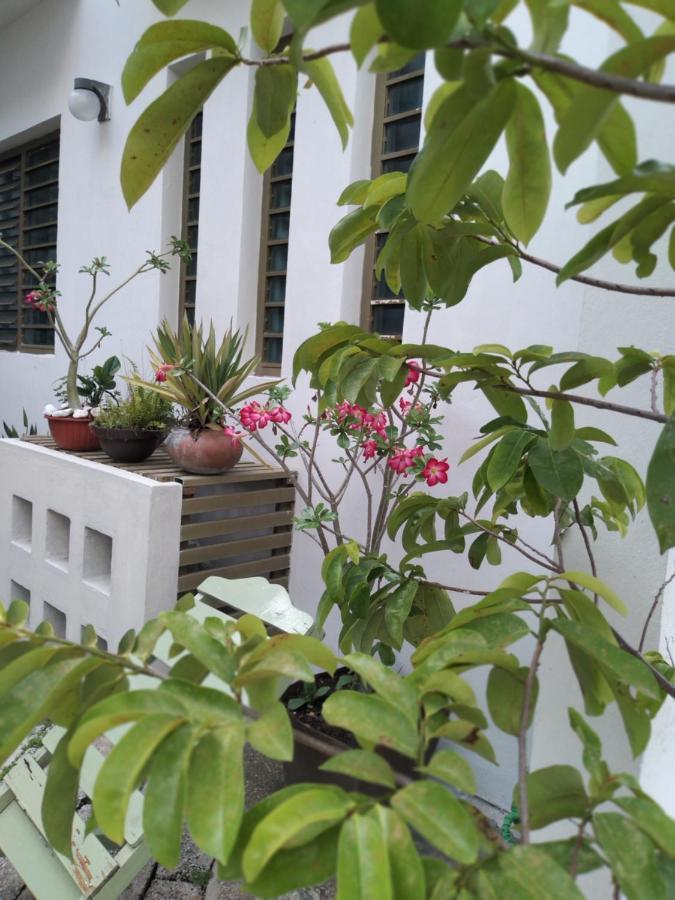 Departamentos De La Reina Roja Apartment Palenque Luaran gambar