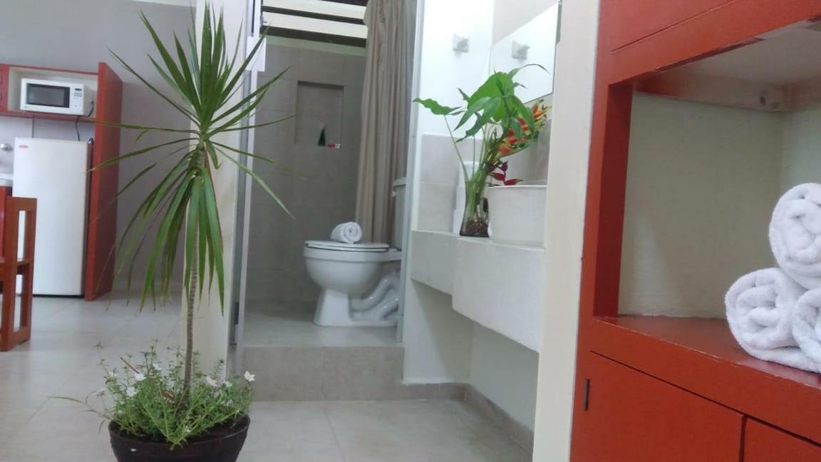 Departamentos De La Reina Roja Apartment Palenque Luaran gambar