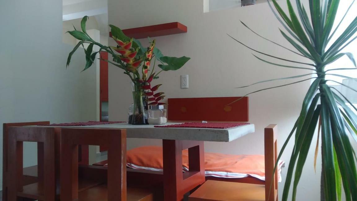 Departamentos De La Reina Roja Apartment Palenque Luaran gambar